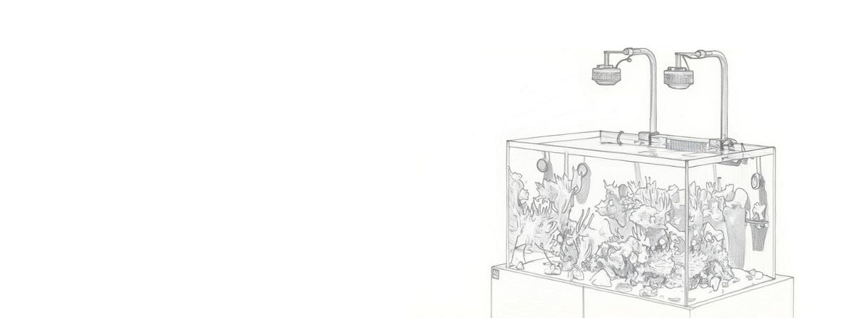 Aquarien