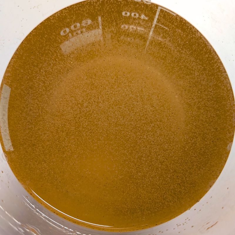 Ocean Nutrition Micro Artemia-Eier
