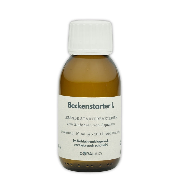 Beckenstarter 1