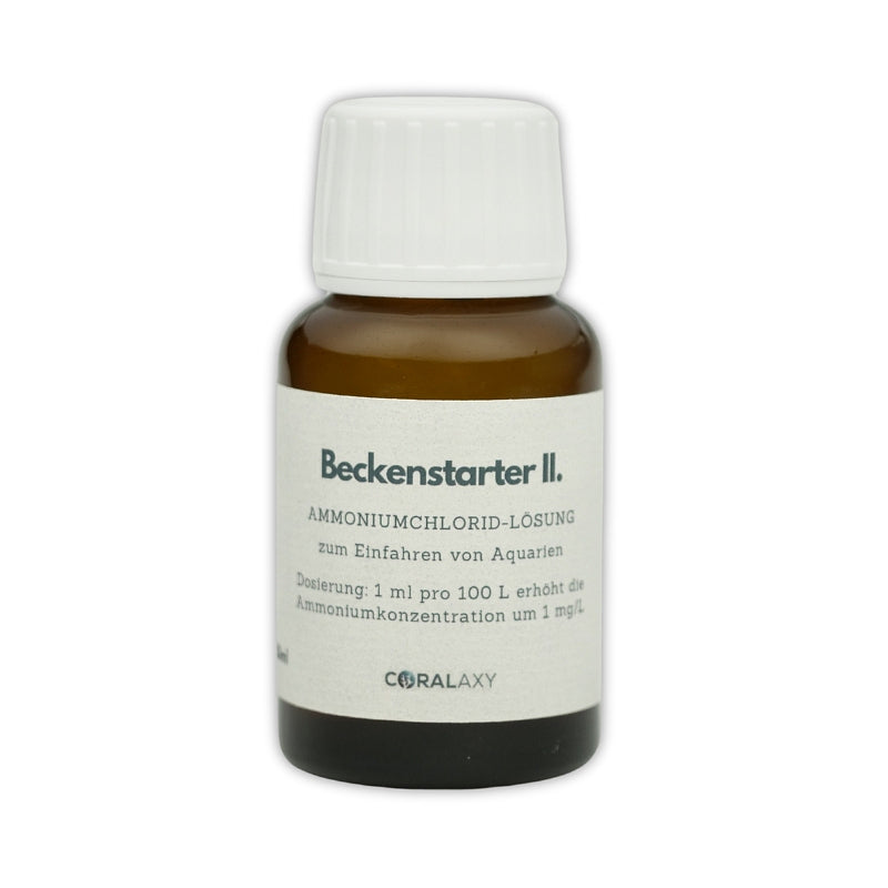 Beckenstarter 2