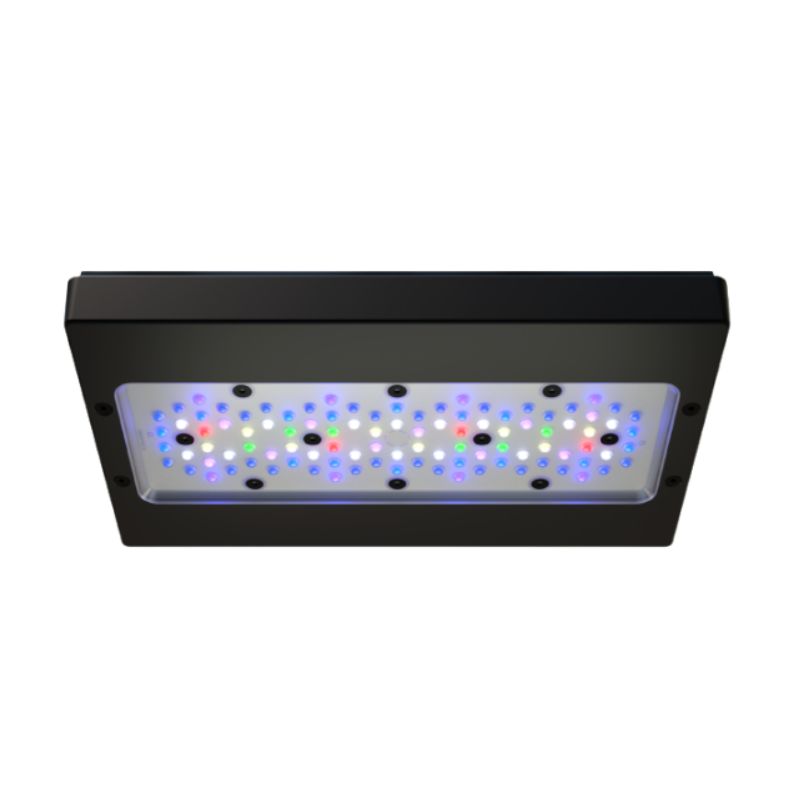 Ecotech Marine Radion XR30 G6