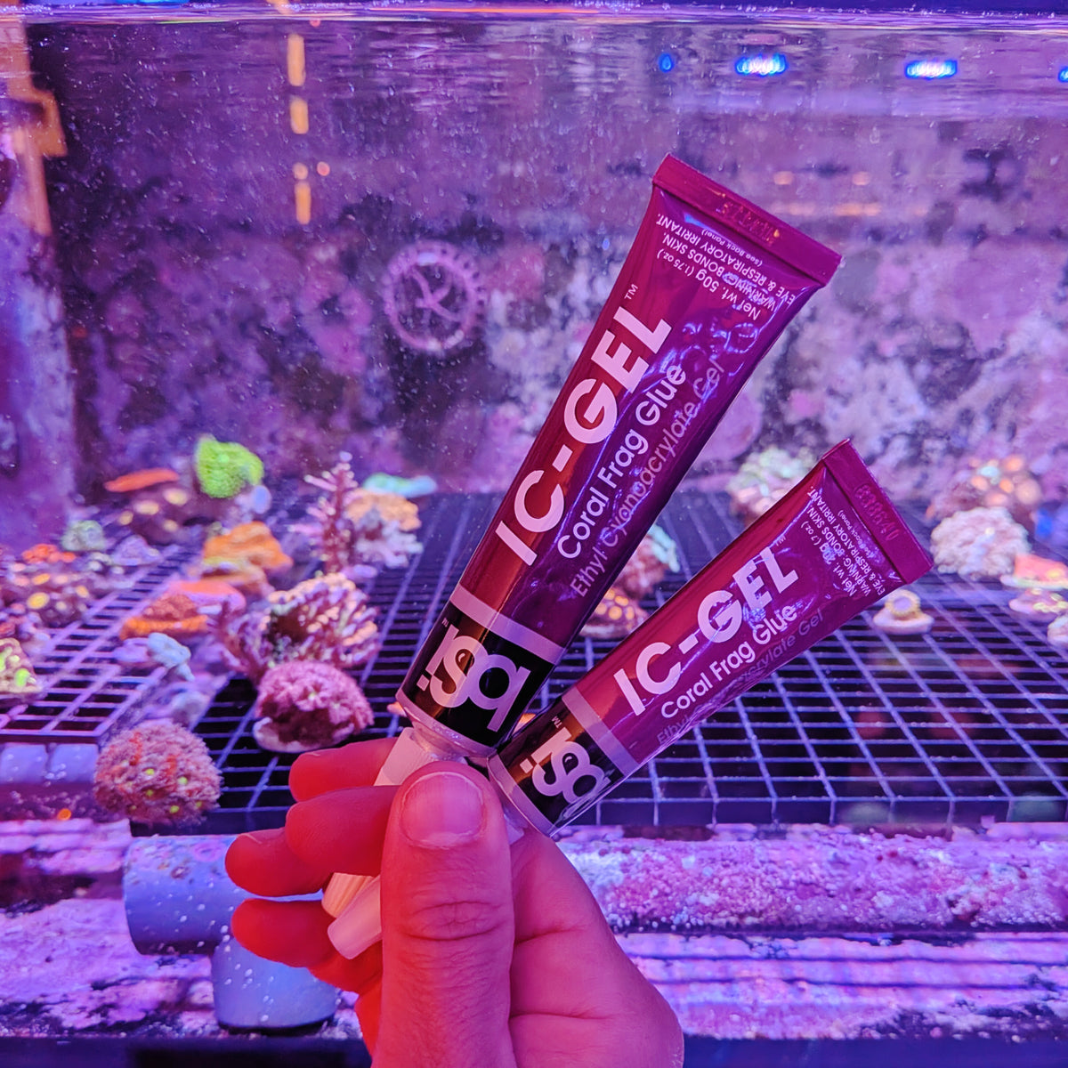 Coral Glue Gel