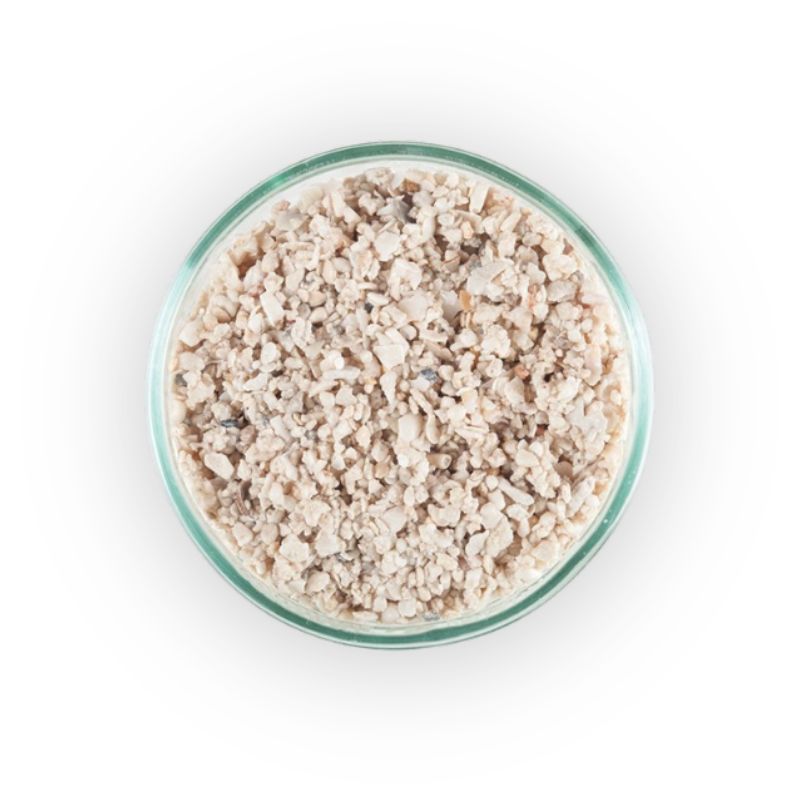CaribSea Arag-Alive! Sand