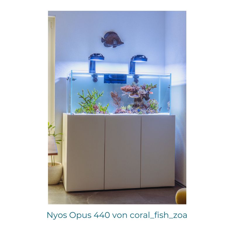 Nyos Opus G2